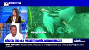 Méditerranée: unes des mers les plus polluées du monde