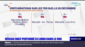 Provence-Alpes-Côte d'Azur: réseau SNCF perturbé ce lundi