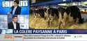 Salon de l'agriculture: Les agriculteurs attendent François Hollande de pied ferme