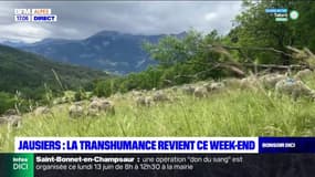 Alpes-de-Haute-Provence: le village de Jausiers se prépare pour une fête de la Transhumance ce week-end