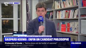 Gaspard Koenig: "Simplifier, c'est mieux protéger"