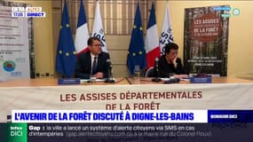 Digne-les-Bains: coup d'envoi des assises de la forêt et de la filière bois