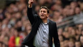 Philippe Montanier, l'entraîneur de Rennes