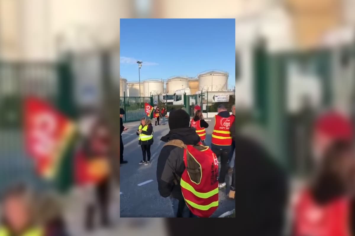 placeholder video