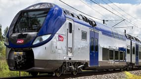 Huit des 32 rames Régio 2N reçues par la SNCF pour rouler sur la ligne R entre Paris et Montargis (Loiret) sont concernées par ces défauts de qualité.