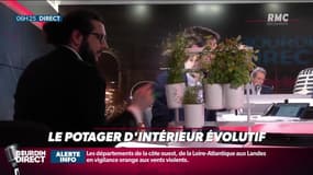 "J'ai testé pour vous" : le potager d’intérieur évolutif