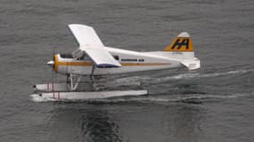 Un hydravion de Havilland Canada DHC-2 Beaver - Image d'illustration