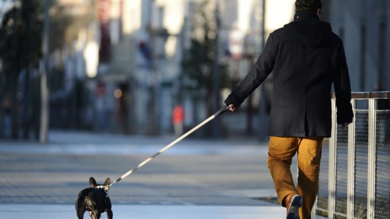 750 euros pour une crotte de chien: Bergerac veut frapper fort contre les incivilités