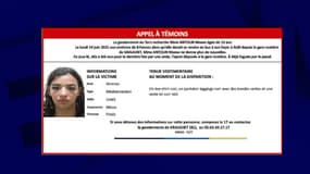 L'appel à témoins lancé par les gendarmes après la disparition de Maëva Antolin, une adolescente de 13 ans, le 14 juin à Graulhet dans le Tarn.