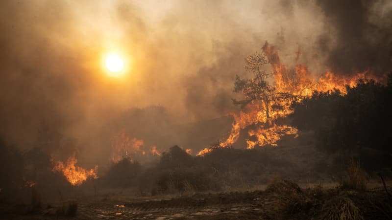 EN DIRECT - Incendies: des pointes à 45°C attendues en Grèce, où des feux font toujours rage