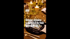 Grippe aviaire : y aura-t-il du foie gras à Noël ? 