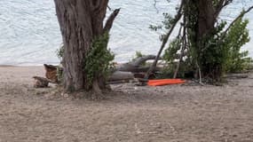 Un enfant de 6 ans tué par la chute d'une branche d'arbre à Sainte-Croix-du-Verdon le dimanche 6 août 2023.