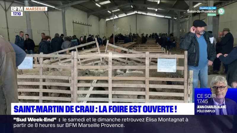 Saint-Martin-de-Crau : la foire est ouverte