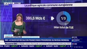 Zoom sur le soutien de l'Union européenne au bio