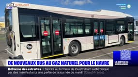Le Havre: la flotte de bus bientôt remplacée par des véhicules roulant au gaz naturel