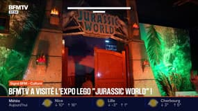 SIGNÉ BFM - Une exposition de dinosaures géants en LEGO ouvre ses portes à Montreuil