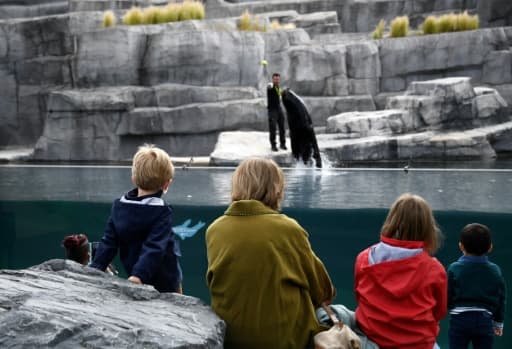 Le parc zoologique de Paris a rouvert ses portes après trois mois de fermeture le 8 juin 2020 Le parc zoologique de Paris a rouvert ses portes après trois mois de fermeture le 8 juin 2020