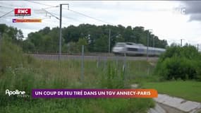 Un coup de feu tiré dans un TGV entre Annecy et Paris, un homme interpellé