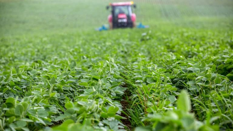 Un tracteur dans le champs de Frédéric Castex, cultivateur de soja à Peguilhan (Sud de la France), le 12 juillet 2021