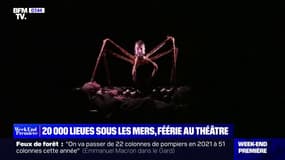 "20 000 lieues sous les mers", féérie au théâtre de la Porte Saint-Martin à Paris