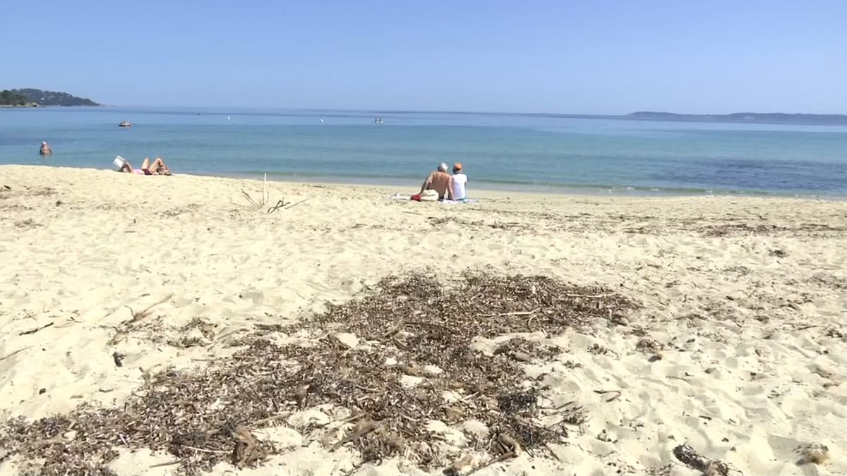 placeholder video