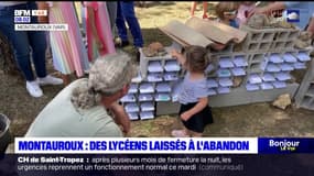 Montauroux: des parents d'élèves attendent depuis huit ans la construction d'un lycée