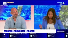 "La coupe est pleine": un collectif appelle au boycott de la Coupe du monde de foot au Qatar
