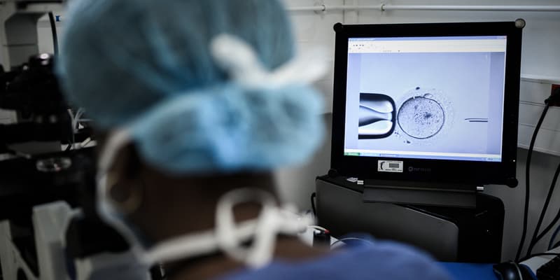 Une membre de l'équipe du Cecos de l'hôpital Tenon, à Paris, réalise un processus d'un parcours de procréation médicalement assisté (PMA), le 24 septembre 2019.