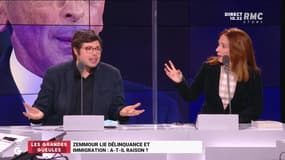 Zemmour lie délinquance et immigration : a-t-il raison ? - 27/01