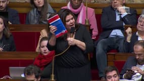 "Vous faites pitié": Raquel Garrido s'emporte face aux députés de la majorité présidentielle