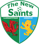 The New Saints