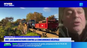 Var : les agriculteurs contre la concurrence déloyale