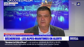 Alpes-Maritimes en alerte sécheresse: pour le président de la Chambre d'agriculture "c'est un coup dur"