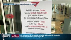 Une bibliothèque de Marseille fermée à cause de punaises de lit