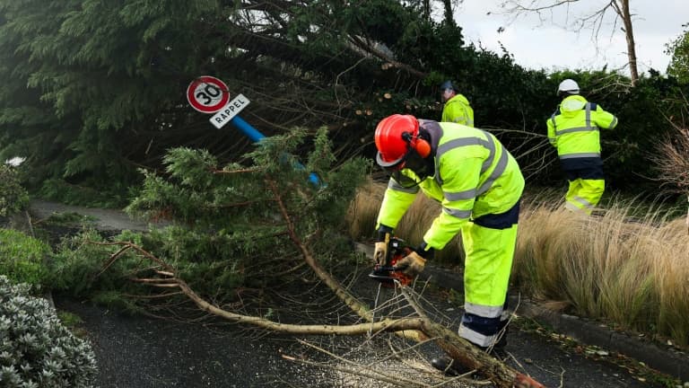 Des employés municipaux déblayent les routes après le passage de la tempête Ciaran à l'Ile-Tudy, dans le Finistère, le 2 novembre 2023