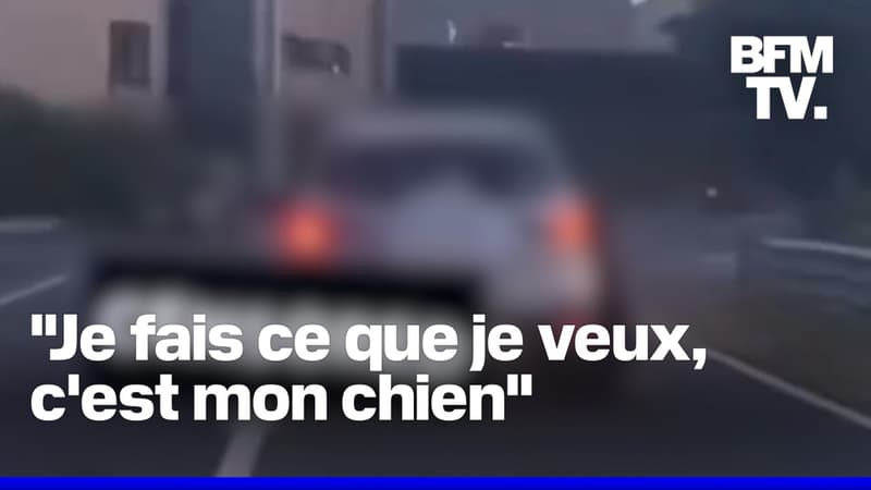En Belgique, un homme est accusé d'avoir tué son chien en le traînant sur plusieurs mètres