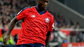 Nicolas Pépé sous le maillot lillois.