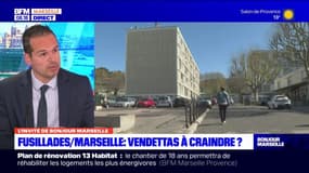 Fusillades à Marseille: comment endiguer la violence? 