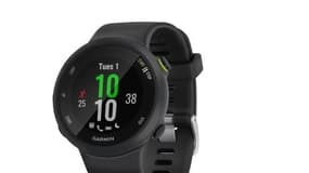 Garmin Forerunner 45 