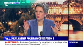 Sandrine Rousseau (EELV-Nupes), à propos d'Emmanuel Macron: "Il n'y a pas deux camps, il y a un homme seul contre son peuple"