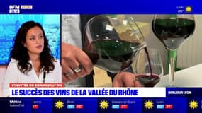 Vins de la vallée du Rhône: pour la directrice commerciale du groupe Chapoutier "les gens consomment moins mais mieux"