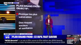 LES ÉCLAIREURS - Qu'est-ce que le "plan grand froid", activé dans une trentaine de départements ?