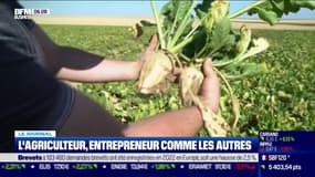 L'agriculteur, entrepreneur comme les autres
