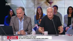 Karl Lagerfeld lègue sa fortune à son chat: "Une insulte à la raison humaine"