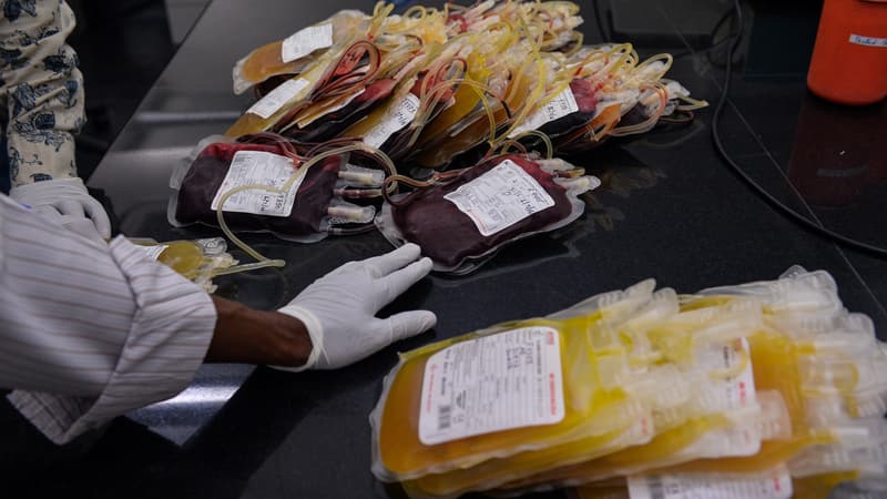 Des poches de sang, dans une clinique de New Delhi, le 1er juin 2016.