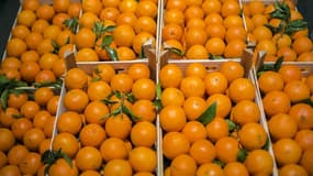 Des oranges au marché de Rungis, près de Paris, en décembre 2014 (photo d'illustration).