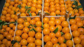 Les Français se tournent toujours vers des fruits et légumes estivaux, face aux températures (photo d'illustration).