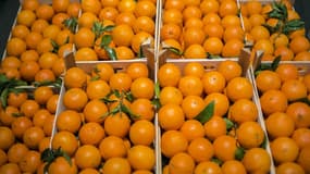 Des oranges au marché de Rungis, près de Paris, en décembre 2014 (photo d'illustration).