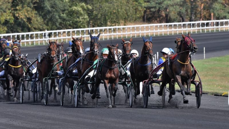 Les pronos hippiques du 22 avril 2022