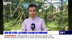 Zoo du parc de la Tête d'Or : la forêt d'Asie ouvre ses portes mercredi